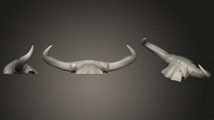 Маски и морды животных (Лонгхорн, MSKJ_0232) 3D модель для ЧПУ станка